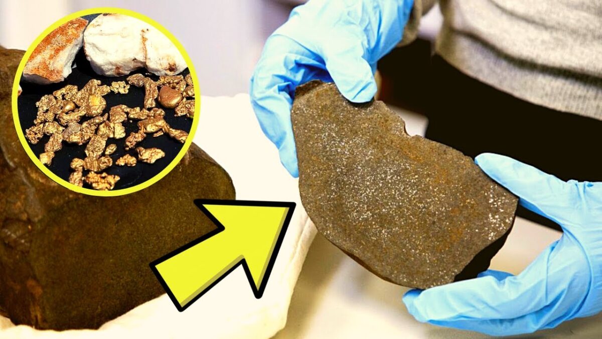A Prospector Found This Rock And Prayed For Gold, But The Treasure Inside Was Even More Valuable