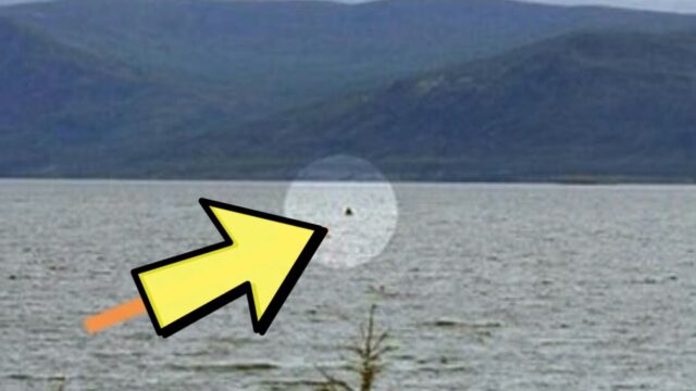 Divers Finding In A Siberian Lake Uncover A 'Monster' That You Wont Believe What It Is