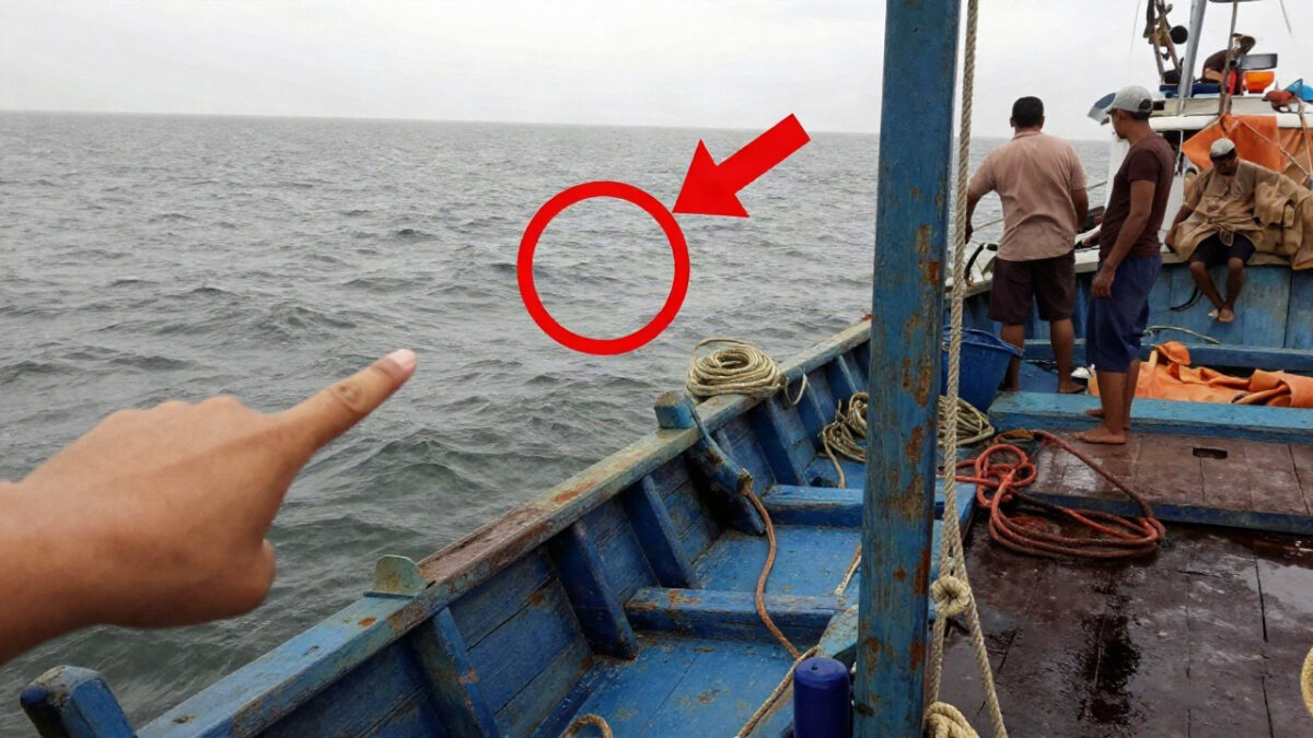 Fishermen Turn Pale When They See This Appear In The Middle Of Ocean