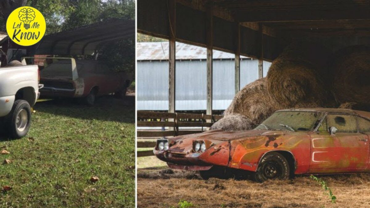 He Got A Call From A Guy Selling A Car But What Really Blew His Mind Lay Hidden Inside This Barn