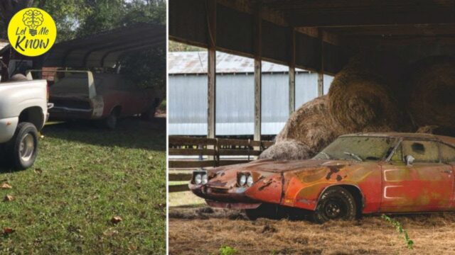 He Got A Call From A Guy Selling A Car But What Really Blew His Mind Lay Hidden Inside This Barn