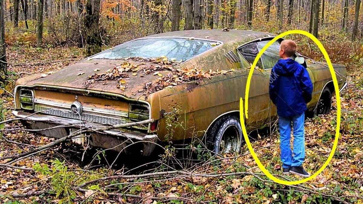 Hiker Finds Forgotten Car in the Woods and a Locked Box Full of Secrets