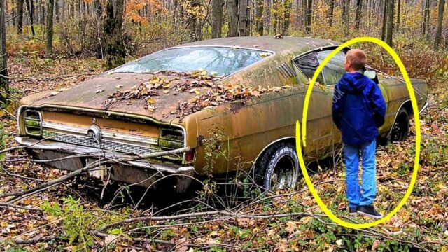 Hiker Finds Forgotten Car in the Woods and a Locked Box Full of Secrets