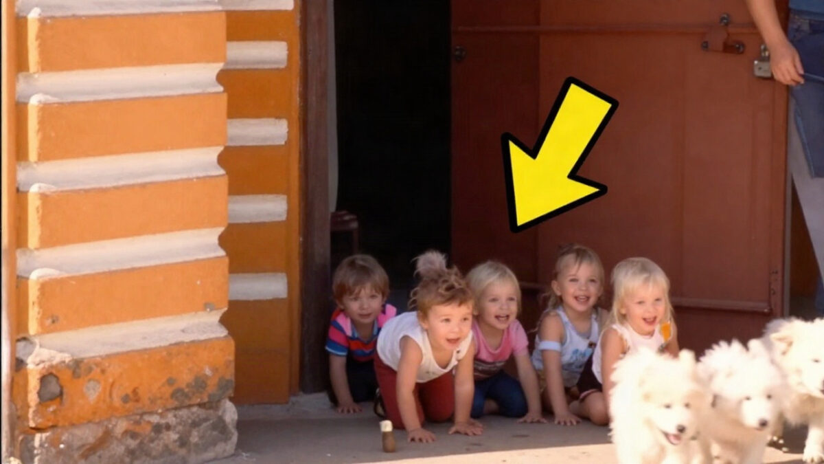 Man Adopts Babies Every Month, What He Was Doing To Them Will Shock You