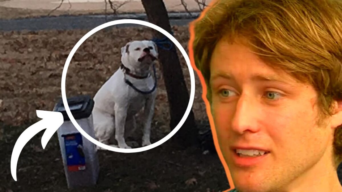 Man Finds Pit bull Tied To A Tree With A Note And Gets The Surprise Of A Lifetime When He Reads It