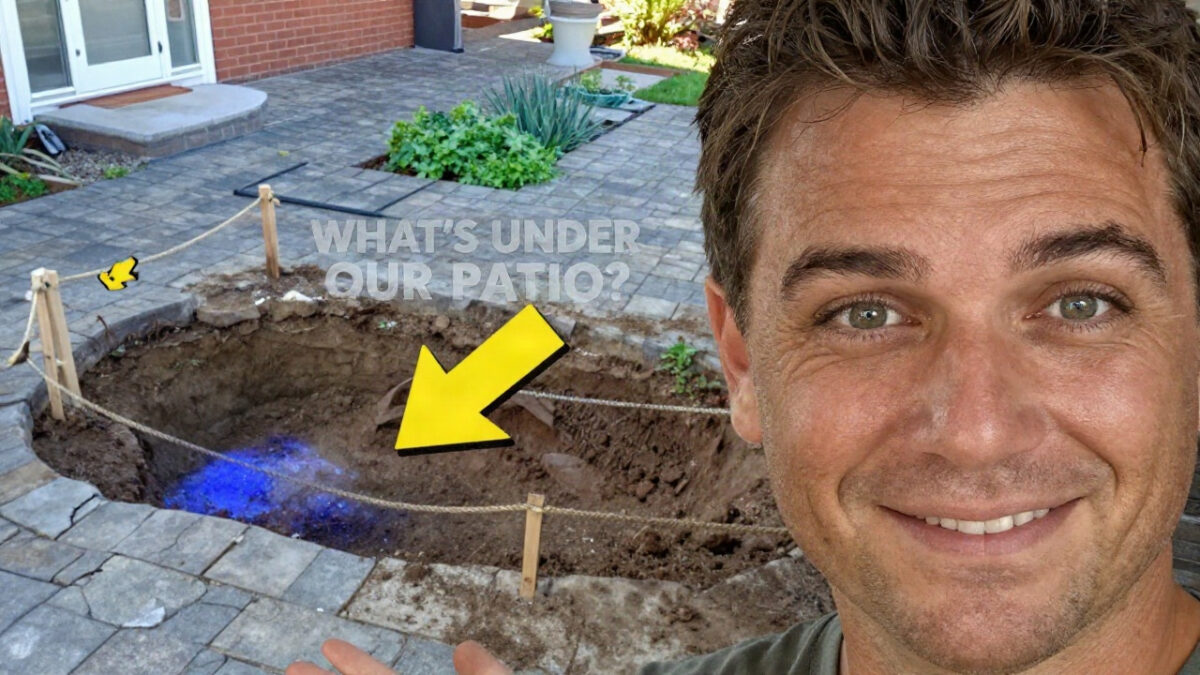 Man Kept Hearing Strange Noises Under Driveway, Look What He Found Inside