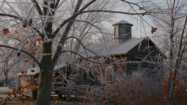 A pale October morning in Vermont after an ice storm. A sugarbush of maple trees glazed in clear ice, low sunlight through the bare branches, an old wooden sugarhouse with a cupola