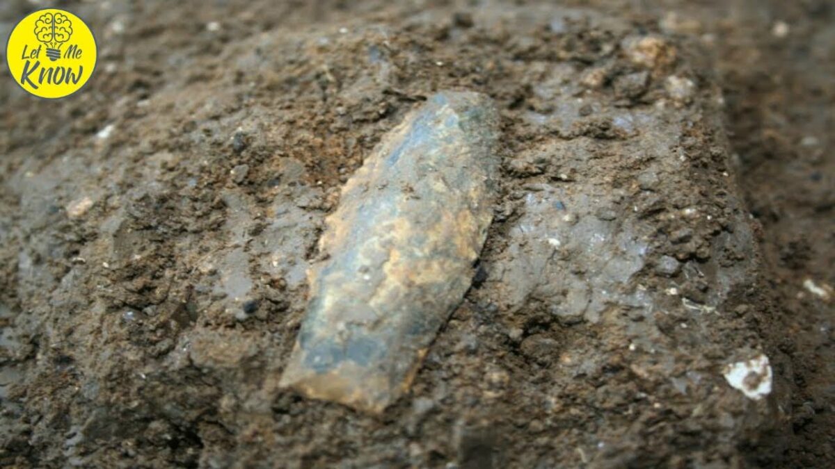 Scientists Have Found Ancient Weapons That Could Rewrite The History Of America’s First Settlers