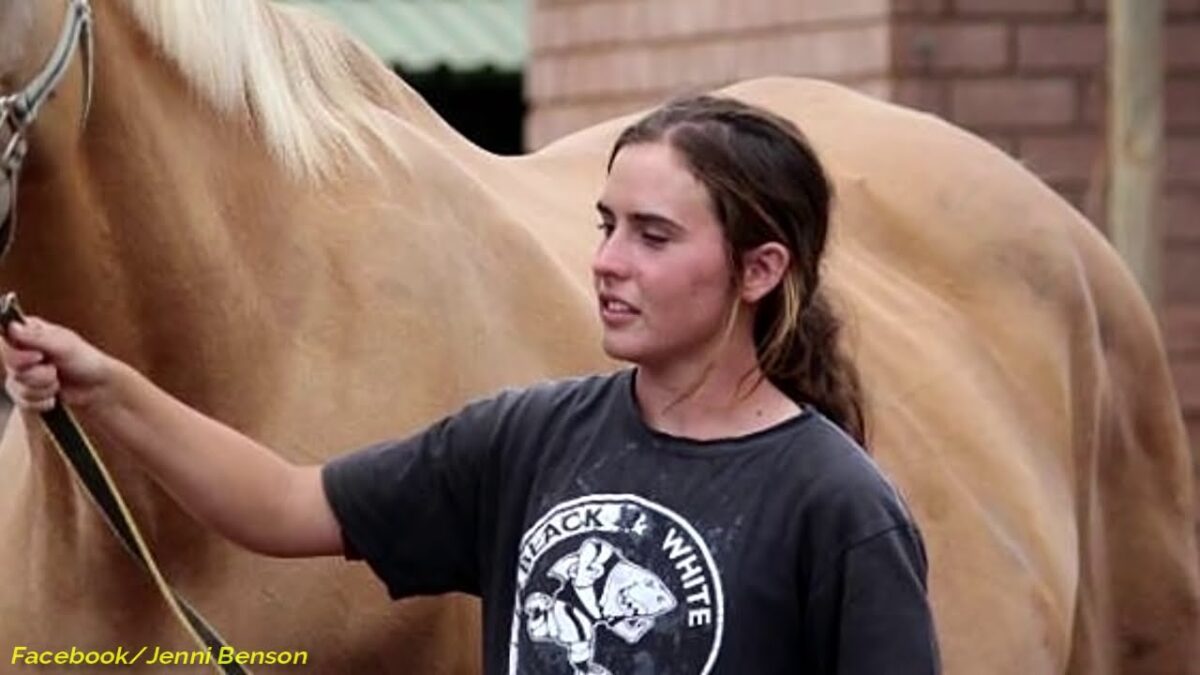 The Mare, the Twins, and the Tiny Foal Nobody Expected