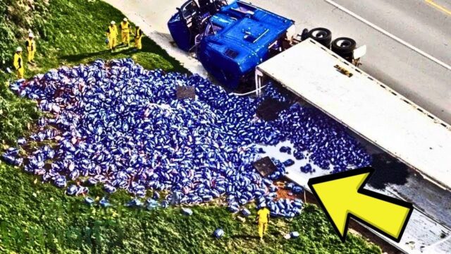 Truck Driver Hears Noise Coming From Cargo, Turns Pale When He Looks Inside